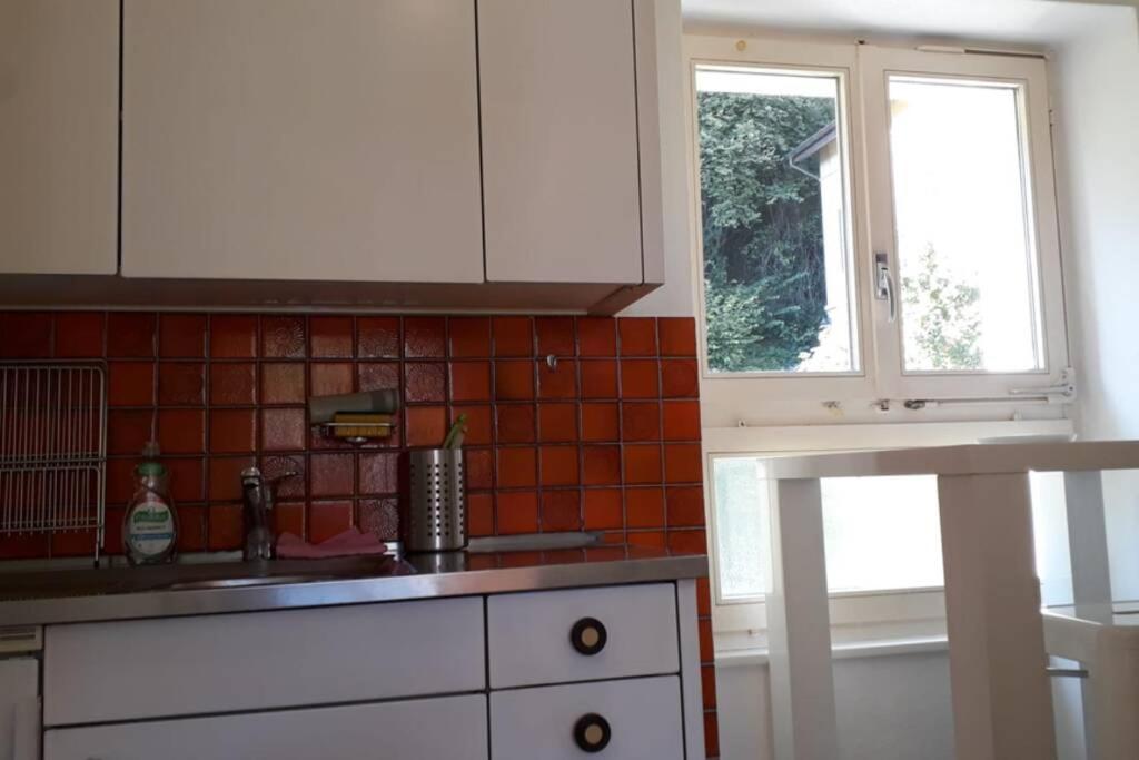 Parking Voiture & Appartement 2Pcs Lausanne Centre Esterno foto